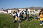 C-Elephants  0066_resize